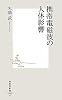 携帯電磁波の人体影響 (集英社新書)