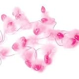 Pink Heart Feather Fairy Lights