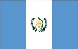 Annin Nylon Guatemala Flag, 3-Foot by 5-Foot