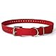 1-Inch Biothane Collar, Red