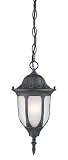 Westinghouse Lighting 6682100 One-Light Exterior Pendant, Textured Black Finish on Cast Aluminum with Frosted Glass Panels