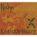 Extra Ordinary