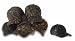 KATI Structured Mid-Profile Mossy Oak Camouflage cap - MO12-MO18