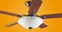 Hunter 28870 60" Stonebridge Ceiling Fan New Bronze w/ Light & 5 Dk Cherry Blades