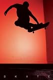 (24x36) Skate (Silhouette) Sports Poster Print