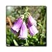 Purple Foxglove Flowers Flower Photography - 12 Inch Ceramic Tile