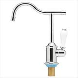 Little Gourmet Point of Use Drinking Faucets Finish: Antique Copper Little Gourmet Point of Use Drinking Faucets Finish: Antique Copper
