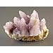 Quartz Amethyst (cactus) Mineral Display