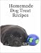 Homemade Dog Treat Recipes