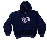 Detroit Pistons Heavyweight Hooded Fleece, Size= Medium