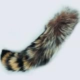 Raccoon Tail X large !0"