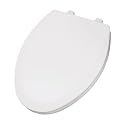 White Foremost Prem Painted Toilet Seat