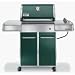 Weber Genesis EP-310 LP Gas Grill 3747301 - Green