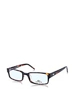 Lacoste Montura L2616 (51 mm) Havana