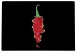 Premier Housewares 1 x 40 x 30 cm Glass Chopping Board with Flaming Chilli Design, Black