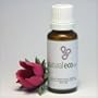 NaturalEco Organics Good Morning Mama Safe and Effective Natural Remedy for Morning Sickness and Nausea During Pregnancy
