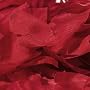 Silk Red Rose Petals