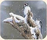 Fiddlers Elbow Downy Woodpecker Mouse Pad Bird