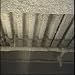 Digital 2000 1020FBM: Asbestos Threat - DVD