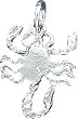 Sterling Silver Scorpion Charm