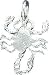 Sterling Silver Scorpion Charm