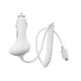 White Rapid Auto Car Charger with IC Chip for Amazon Kindle 2 Wireless Reading Device , Barnes & Noble (Nook) + Fishbone Keychain