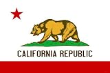California State Flag Poster Print - 13x19