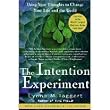 Intentional Chocolate/Lynne McTaggart Book Gift Set