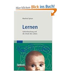 Lernen: Gehirnforschung und die Schule des Lebens