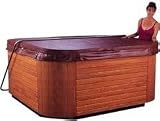 Sundance Spa Covers 31t4HCbkEXL. SL160 Sundance Spa Covers