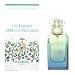 �G�����X �����X�[���̒�50ml