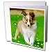   - Dogs Sheltie/Shetland Sheepdog - Sheltie Poppy - Greeting Cards-12 Greeting Cards with envelopes