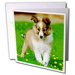 image link -  - B000VG761O