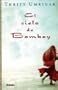 El cielo de Bombay/ The Space Between Us (Spanish Edition)
