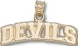 New Jersey "Devils" Charm/Pendant -14K/10K, Stainless Steel or Gold Plated