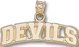 New Jersey "Devils" Sterling Silver Charm/Pendant