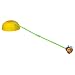 Hasbro Playskool Honeybee Hop