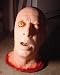 Severed Bloated Head