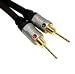 Cables To Go - 40567 - 6ft Meteora 12AWG Speaker Cable