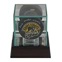 Steiner Glass Puck Display