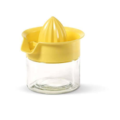 Citrus Juicer Glass, New, Free Shipping eBay