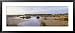 Black Point Wildlife, Merritt Island National Wildlife Refuge, Titusville, Florida, USA Places Framed Art Poster Print by Panoramic Images, 43x19