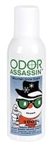 Odor Assassin - Mountain Snow Scent