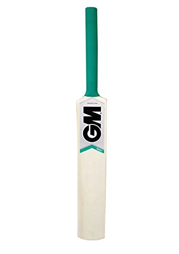 GM Maxi Autograph Cricket Bat 17-Inch