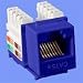 Blue Cat5e Keystone Jack Krone Type 90 Degree Angle