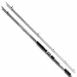 ダイワ(Daiwa) HS シーパラダイス船T 30号-320 3.19m 5282436