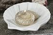 Club Pack of 12 "Beach Inspired" Seashell White Ceramic Plates