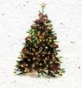 Christmas card that GROWS. 100% recycled