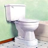 Product details for Toilevator Toilet Elevator