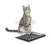 Wallmonkeys Peel and Stick Wall Decals - Kitten and Calculator - Removable Graphic